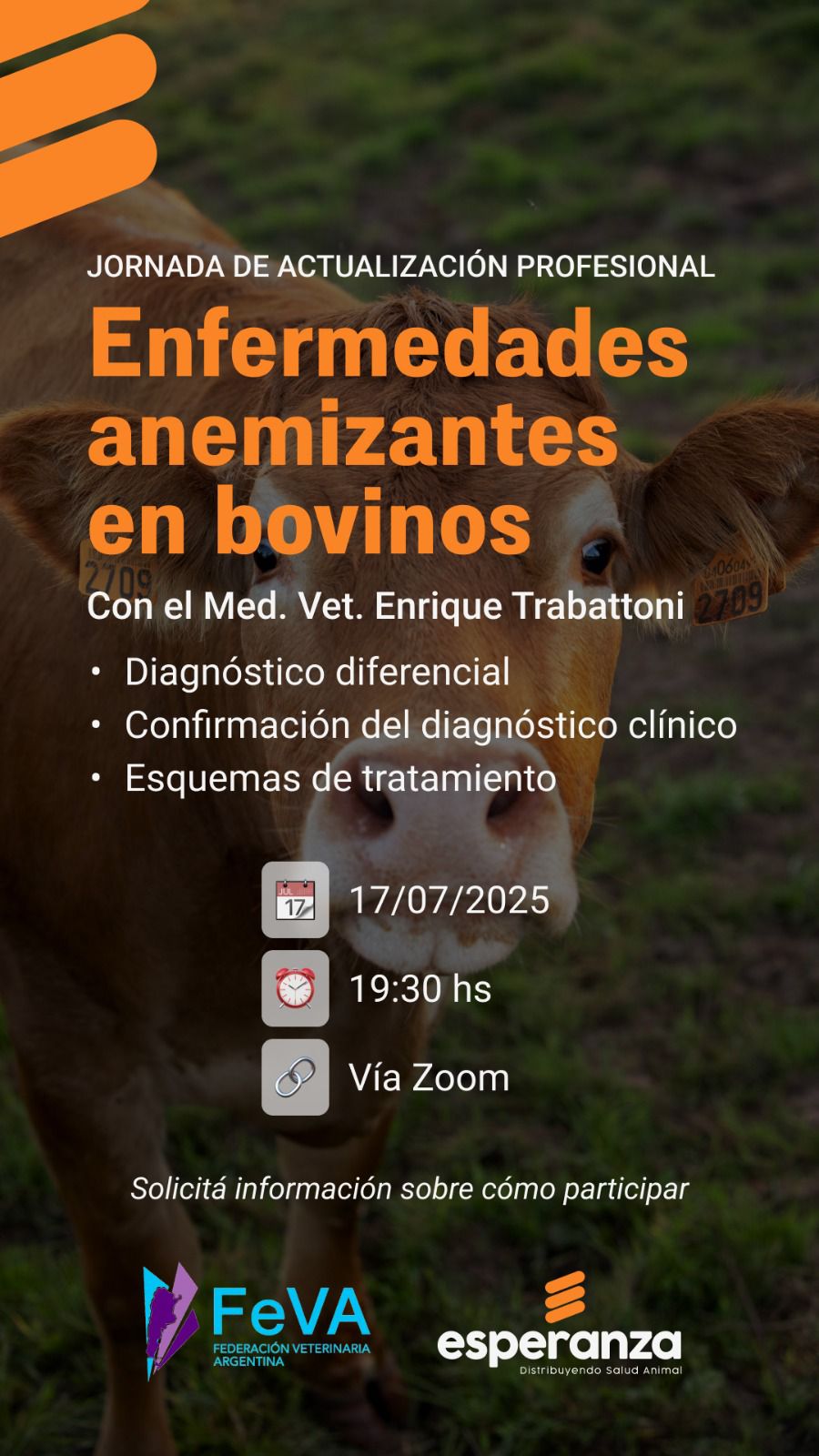 Información
